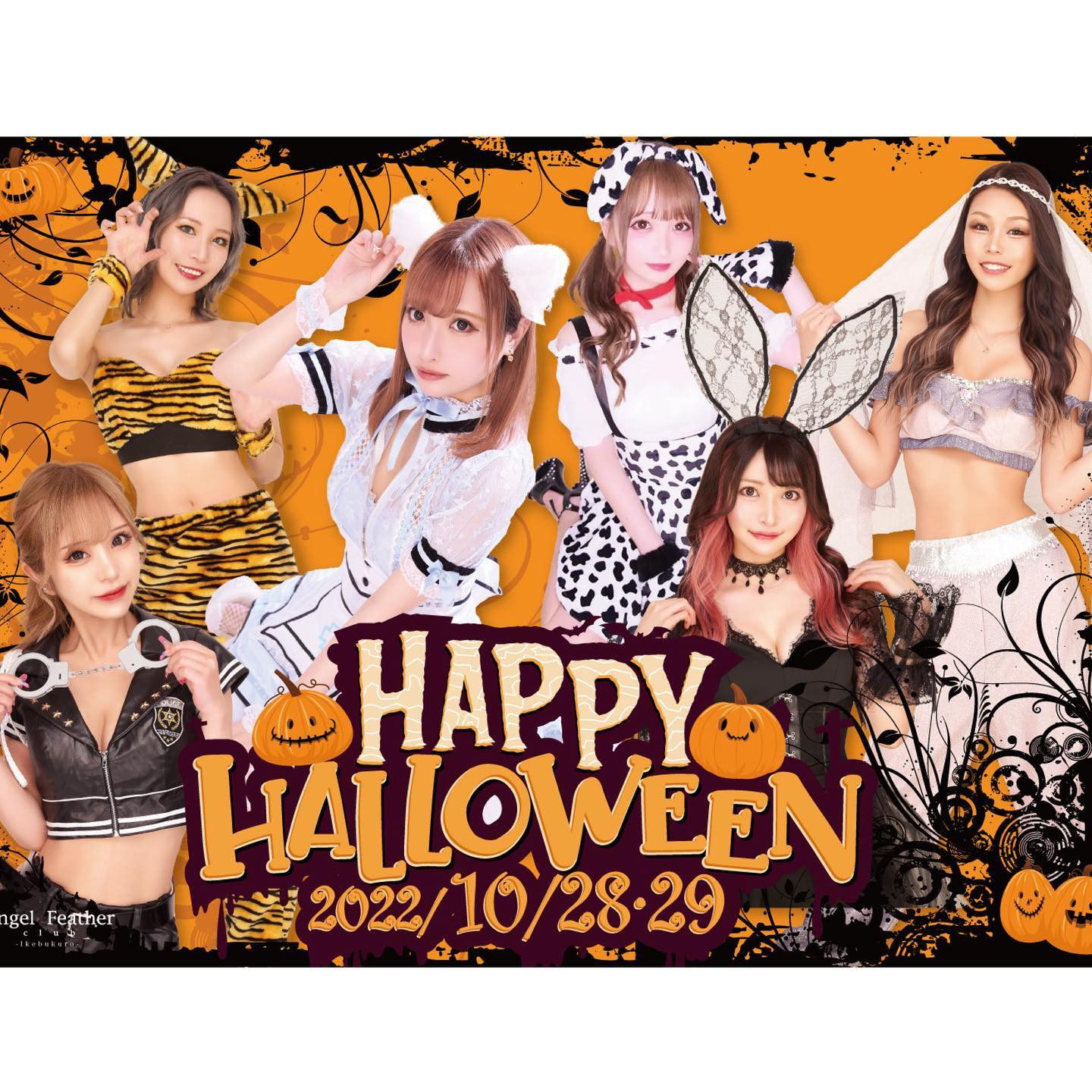 Angel Feather ホットニュース 35730