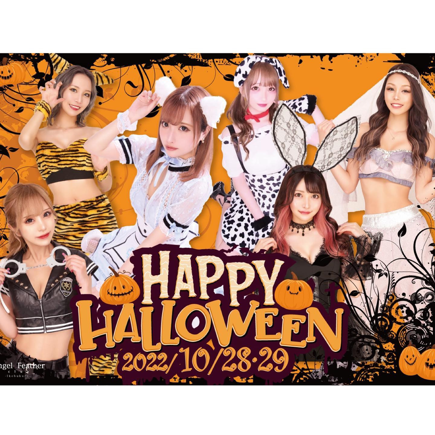 Angel Feather ホットニュース 35744