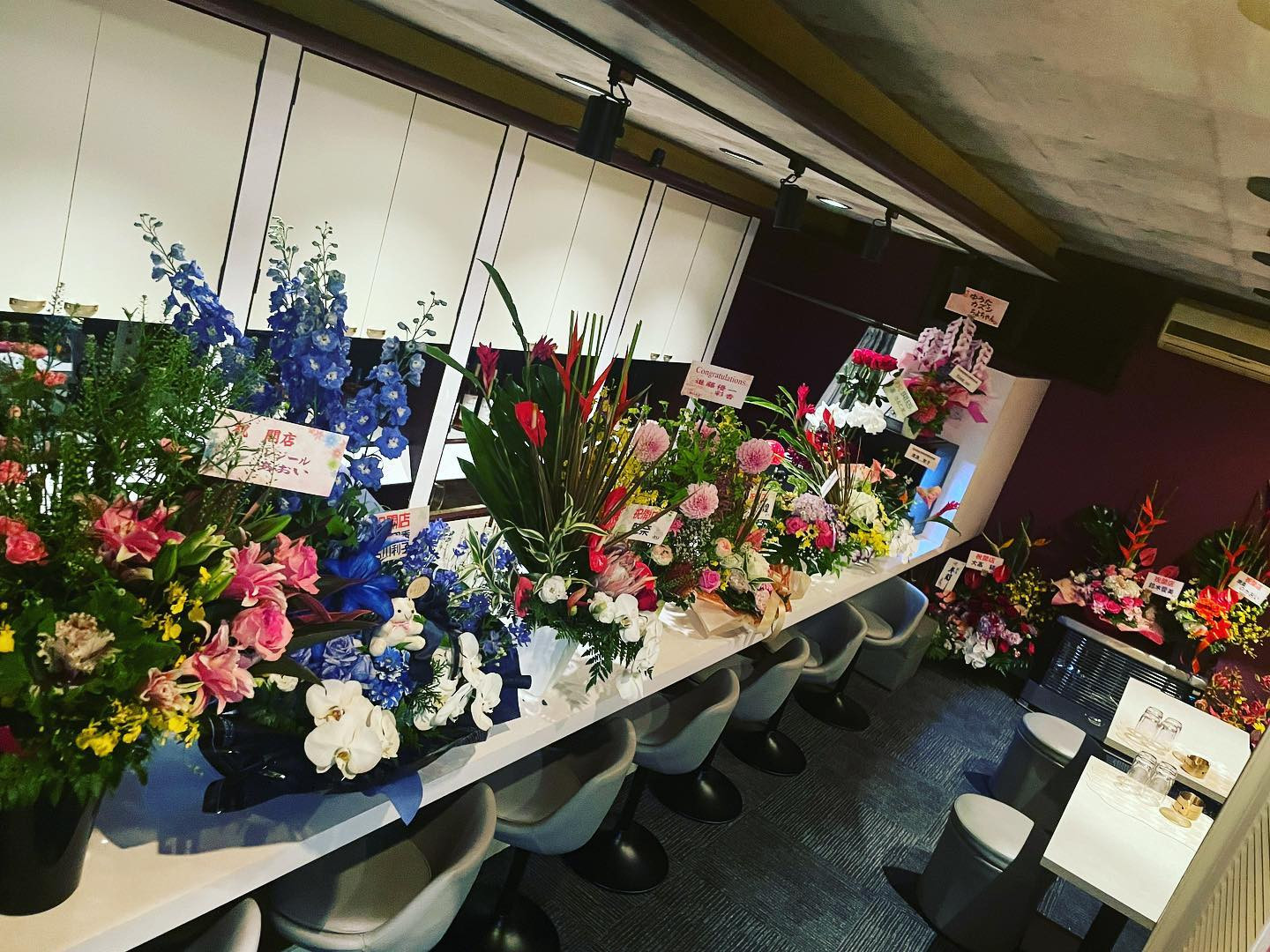 VEGA ホットニュース 35980