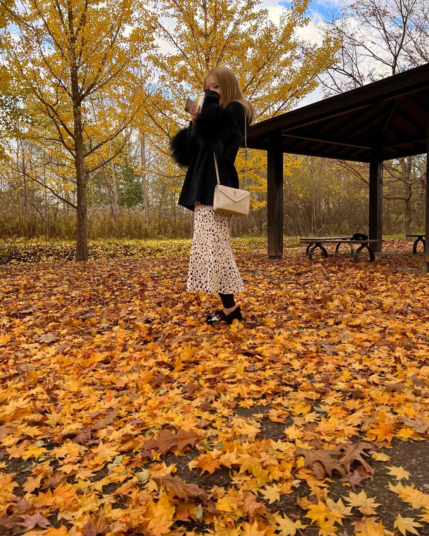 ノーマルカメラ📸
が画質いいから、景色と撮る時かお諦める
札幌の紅葉おわった🍁🍂
温泉いきたいなぁ
.
#北海道 #札幌 #すすきの #ニュークラブ #ニュークラ 
#桃瀬まりあ #クラブプレミア #キャバクラ #ホスト #東京
#六本木 #新宿 #歌舞伎町 #大阪 #北新地 #ミナミ #美尻 
#ギャル #おっぱい #シャンパン #japan #Hokkaido #美容 
#誕生日 #パーティ #浴衣 #キャバ嬢 #美人 #北海道旅行 #旅行