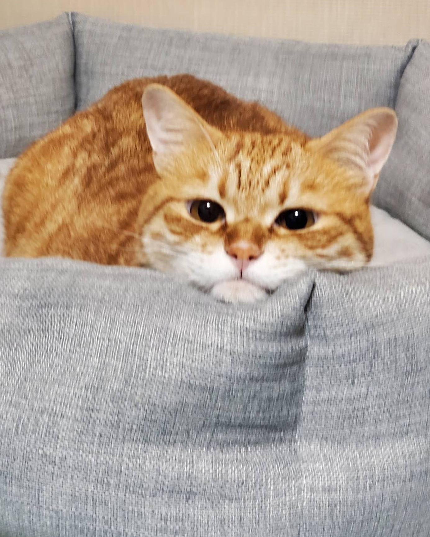 .
.
.
年末感がやっと出てきた⊂( *･ω･ )⊃🌟

今日も出勤です🤗💓
あと少しなので年末たくさんの方に
お会いできたら嬉しいです🥳
よろしくお願いします🐶🐾.
.
.
 #蕨  #蕨キャバクラ  #キャバクラ  #キャバキャバ  #蕨タントラ