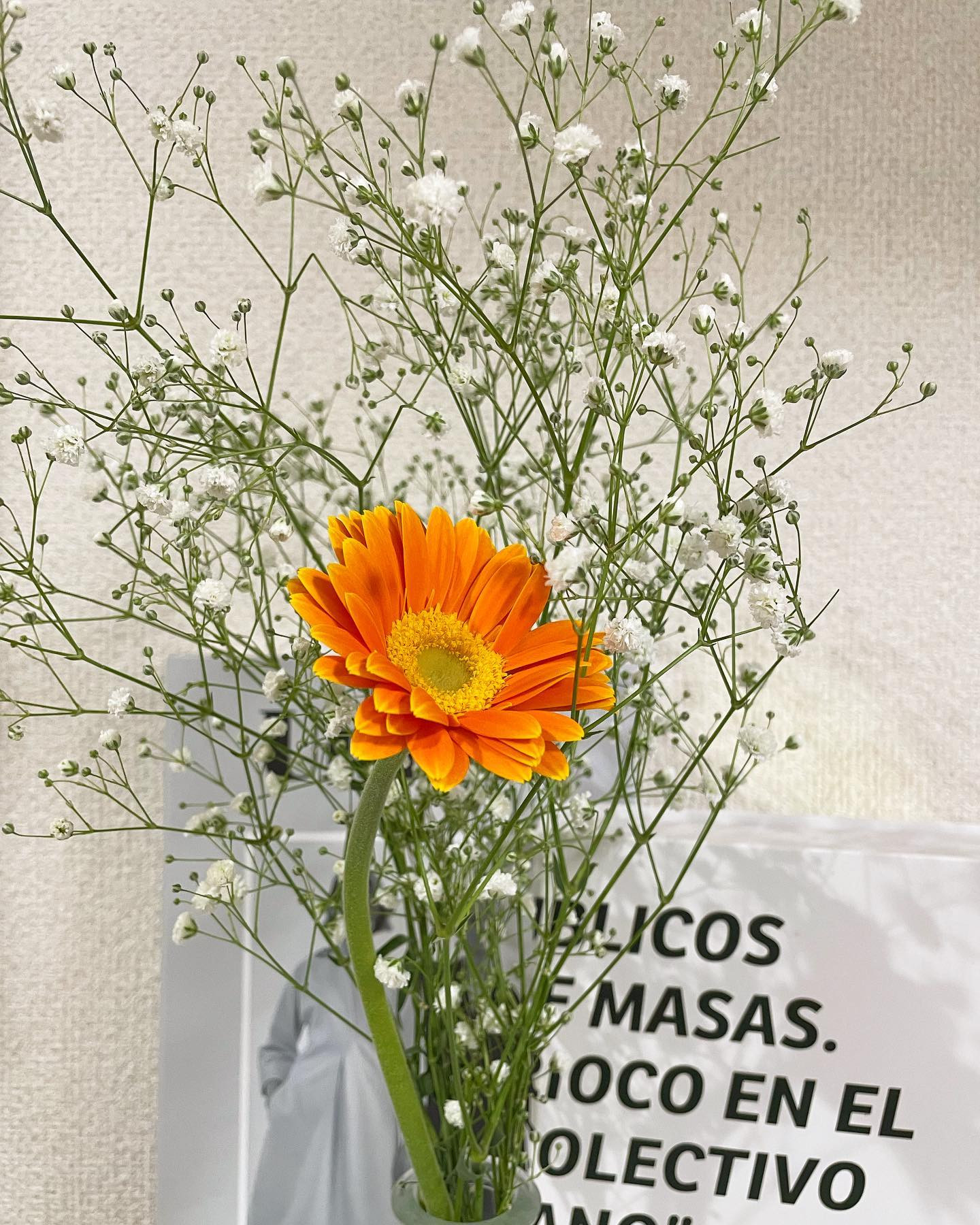 お花飾ったら、昔お花の定期便とかっていうサブスク登録してお花届いてたけど途中から飾るの面倒くさくなって開封もせず腐らして捨ててたなって思い出した😅😅笑

ジムも今月行ったっけな、、、( ˊ̱˂˃ˋ̱ )💦

#サブスクとかすぐ登録するくせに続かない人間 #習い事も続かない人間😇 #ホットヨガも2年契約して行ったの何回だろ😇 #無駄遣い人間 #継続できない人と繋がりたい #ジム全然行ってない人と繋がりたい #筋トレ女子 #って言ってみたい人生だった #誰かNAS一緒に通いませんか😇笑 #おはなのあるくらし 