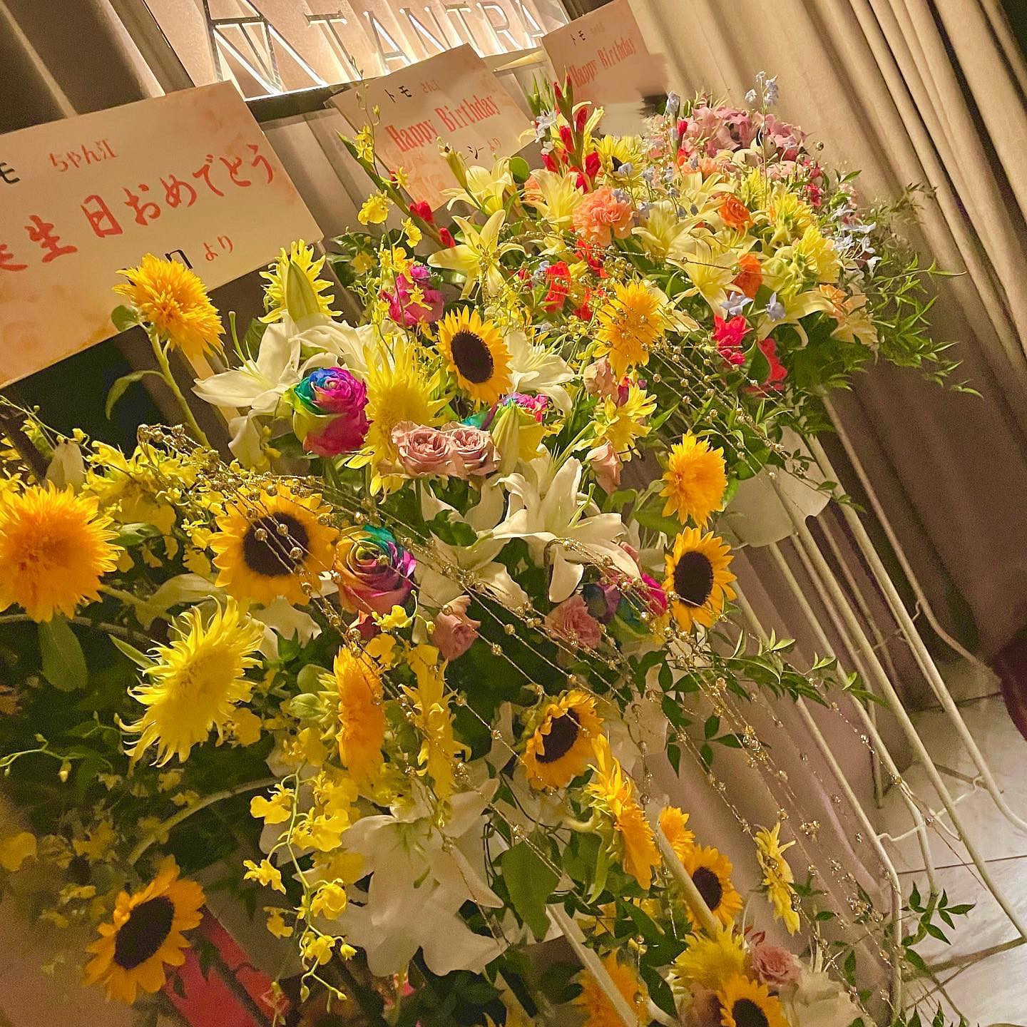 出勤した瞬間から
綺麗なお花が届いていて幸せすぎ〜🥺💋

ご来店頂いたお客様、お花送ってくださった方、
皆様本当にありがとうございました。

写真を撮るのに、女の子やスタッフさんが一生懸命ライト照らしてくれてありがとう😂笑
本当に愉快なスタッフさんや女の子に囲まれたこのお店が大好きです🧡❤️💛💛💚💙🤍

おかげさまで25歳幸せなスタートでした🎂
最高な一年にします٩(๑❛ᴗ❛๑)۶

#clubTANTRA #クラブタントラ #蕨キャバクラ #バースデー #スタンド花 #キャバクラバースデー #埼玉キャバ