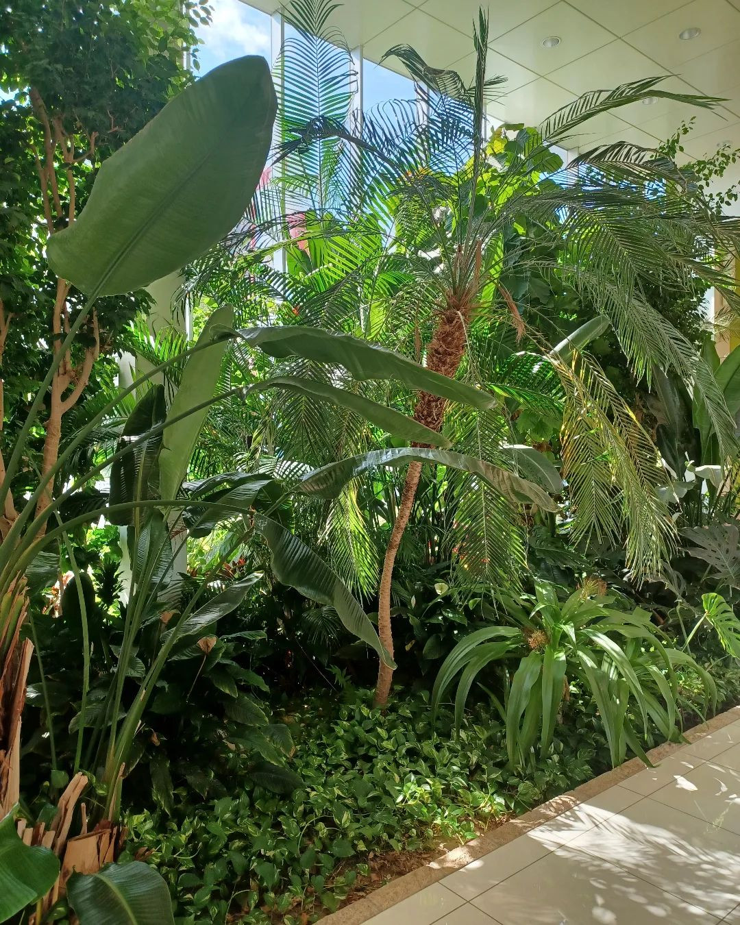 Lounge vivi ホットニュース 37814