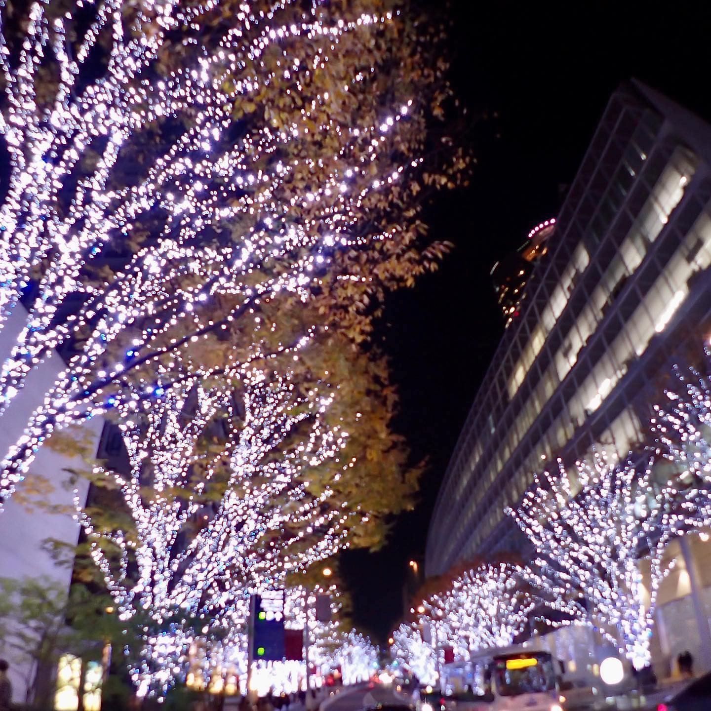 今年もイルミネーション始まったみたい😊

歌舞伎町も変なイルミネーションやめてちゃんとして欲しい（笑）

今年はどこに写真撮りに行こうかな😁

#Blue
#Bar
#kabukicho
#歌舞伎町
#shinjuku
#新宿
#旅行
#海
#Diving
#ダイビング
#UnderwaterPhot
#水中写真
#ライセンス取得
#夏
#ハッピー
#ファインダー越しの世界
#divermag
#iPhone
#GOPRO
#Canon
#Ricoh
#THETA
#OLYMPUS
#tough
#TG-