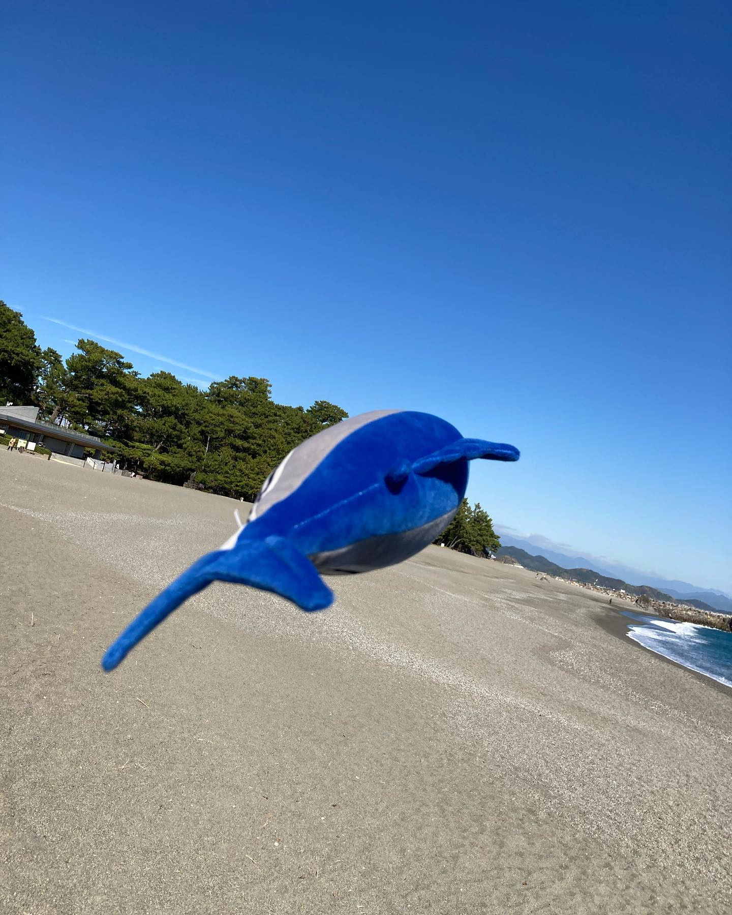 自主トレ。
#カツオ
#運動
#ダイエット