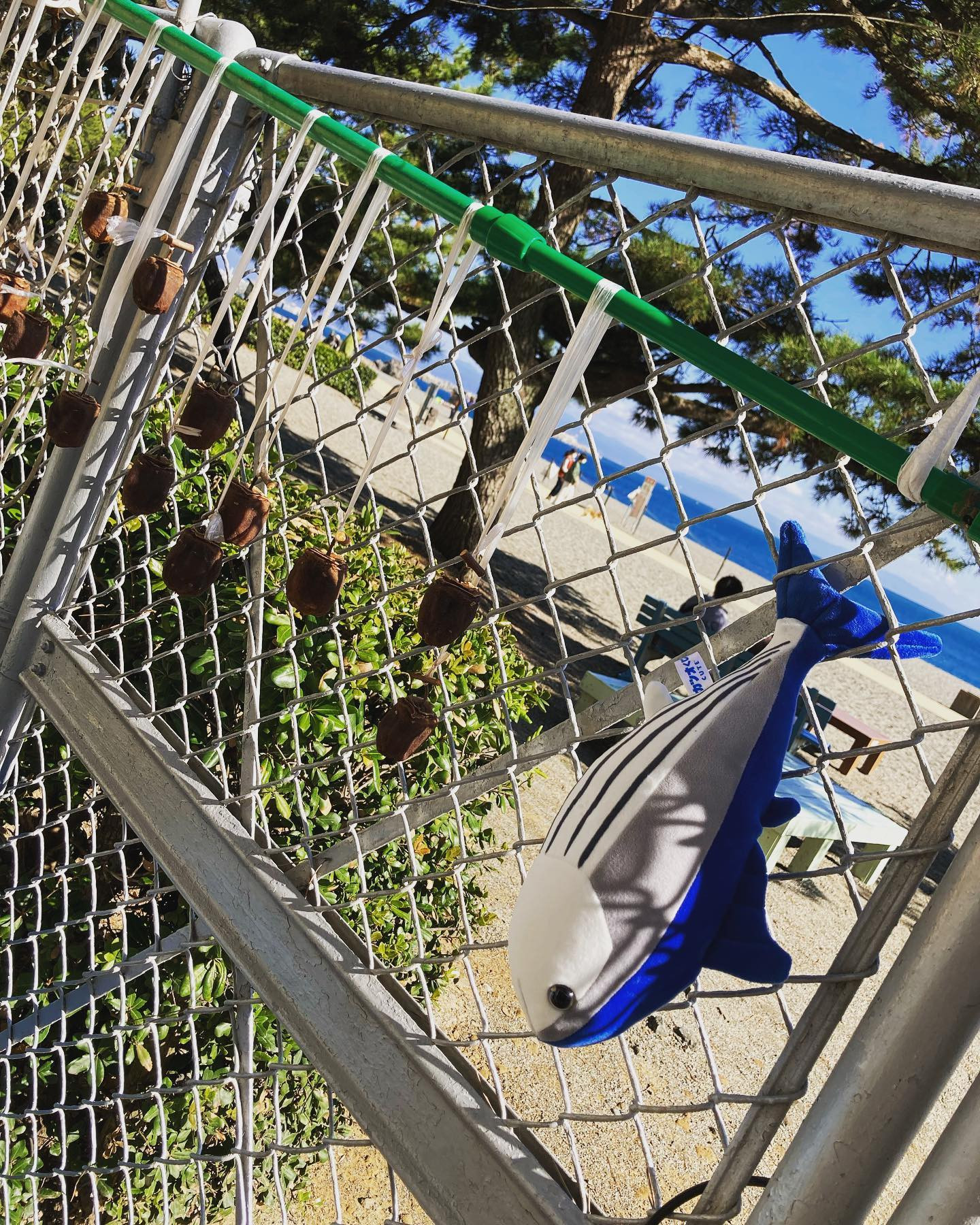 cafe time♡
#干物
#秋の味覚