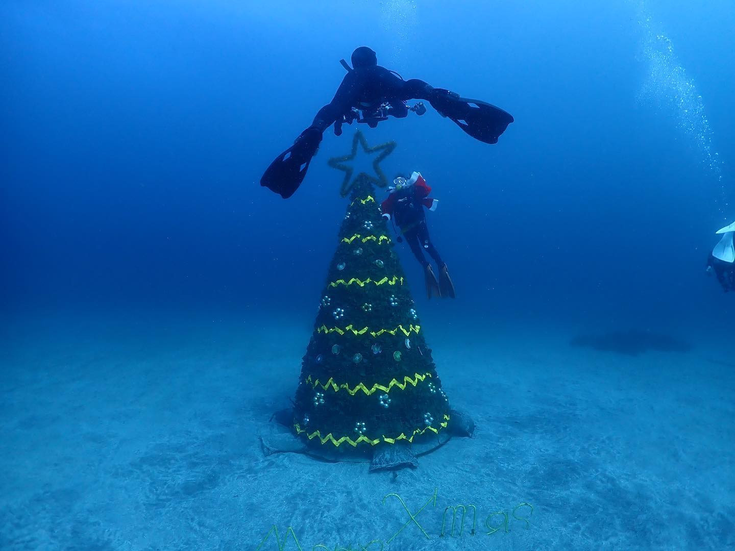 ツリーの大きさが分かりやすい写真😊

かなり大きいんです👌

だからワイドレンズ付けて行くから、小さい物をついでに撮れません（笑）

ツリーとリース撮る時は他には寄らずに上がります（笑）

寒いからちょうどいいけどね（笑）

#Blue
#Bar
#kabukicho
#歌舞伎町
#shinjuku
#新宿
#旅行
#海
#Diving
#ダイビング
#UnderwaterPhot
#水中写真
#ライセンス取得
#夏
#ハッピー
#ファインダー越しの世界
#divermag
#iPhone
#GOPRO
