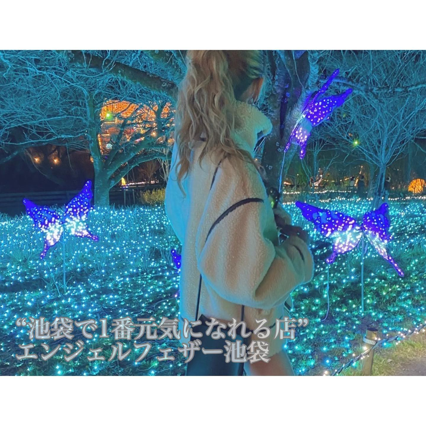 Angel Feather ホットニュース 39347