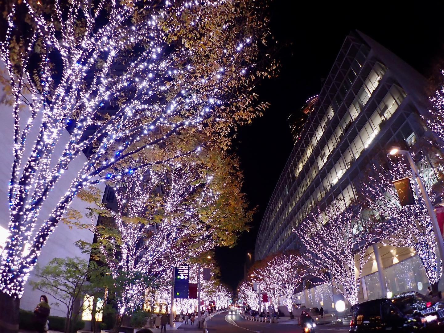 Girl's Bar Blue ホットニュース 39391