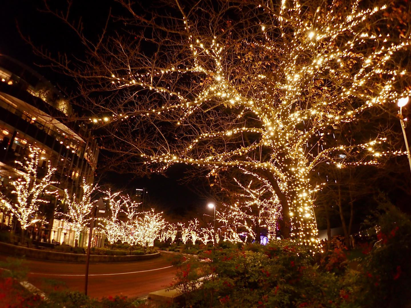  Instagramで記事を開く小野さん...