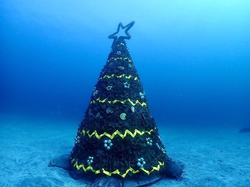 Merry Xmas🍾

イブイブ（笑）

#Blue
#Bar
#kabukicho
#歌舞伎町
#shinjuku
#新宿
#旅行
#海
#Diving
#ダイビング
#UnderwaterPhot
#水中写真
#ライセンス取得
#夏
#ハッピー
#ファインダー越しの世界
#divermag
#iPhone
#GOPRO
#Canon
#Ricoh
#THETA
#OLYMPUS
#tough
#TG-6