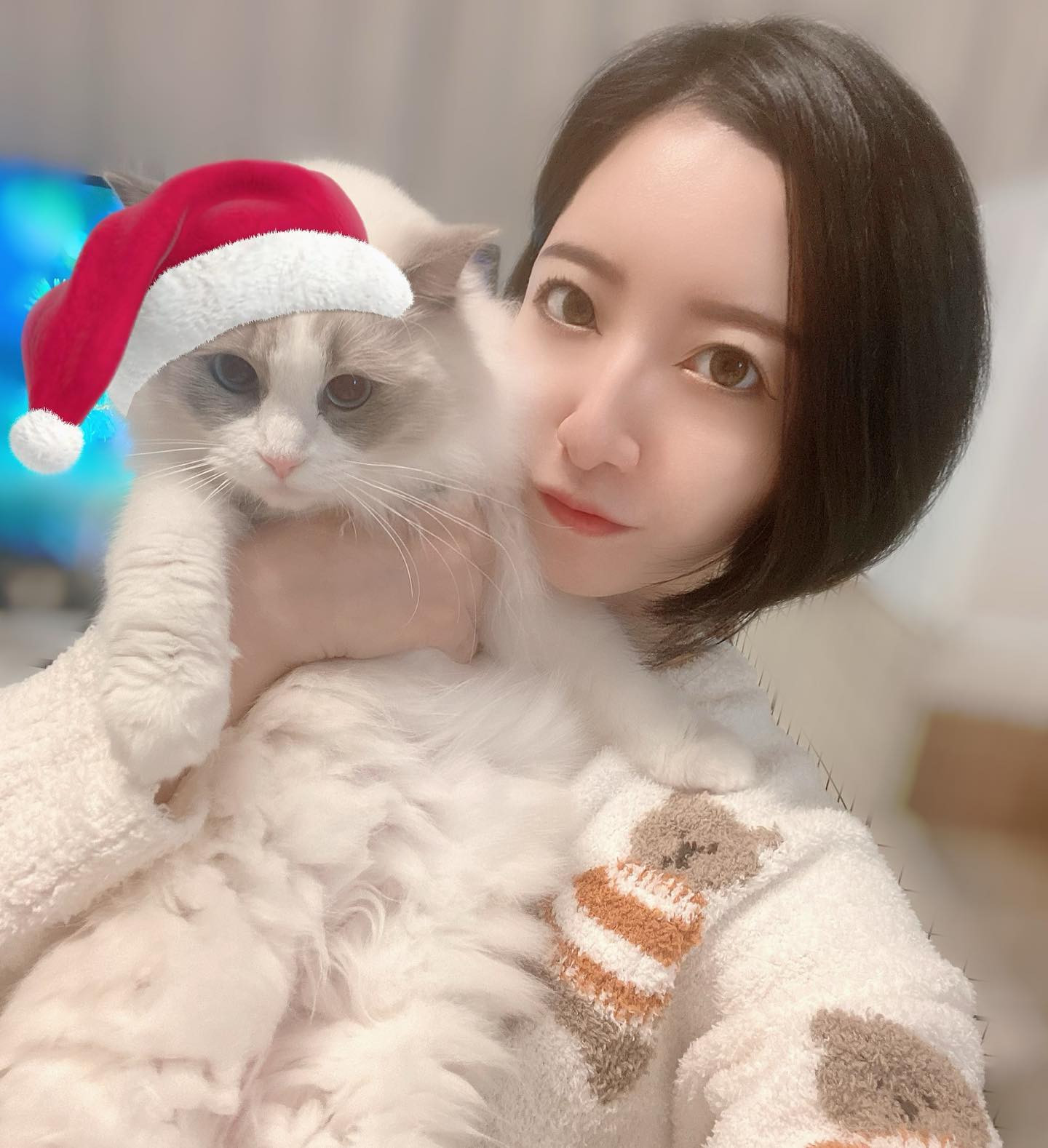 、
とっても珍しく
テンション下がりめの
考え事し過ぎて寝れないw

猫しか勝たん。
可愛すぎるうちの子達
愛でながら寝よう

#ヘレナ#響グループ#百瀬るあ
#札幌#すすきの#北海道#ニュークラブ#ニュークラ嬢
#すすきのニュークラ#ラウンジ#ラウンジ嬢#キャバクラ#キャバ嬢#ホステス#道産子#美女スタグラム#求人#自撮り#ヘアアレンジ#キャバキャバ
#ゴルフ#ゴルフ女子#旅行#JGC#JAL#カメラ