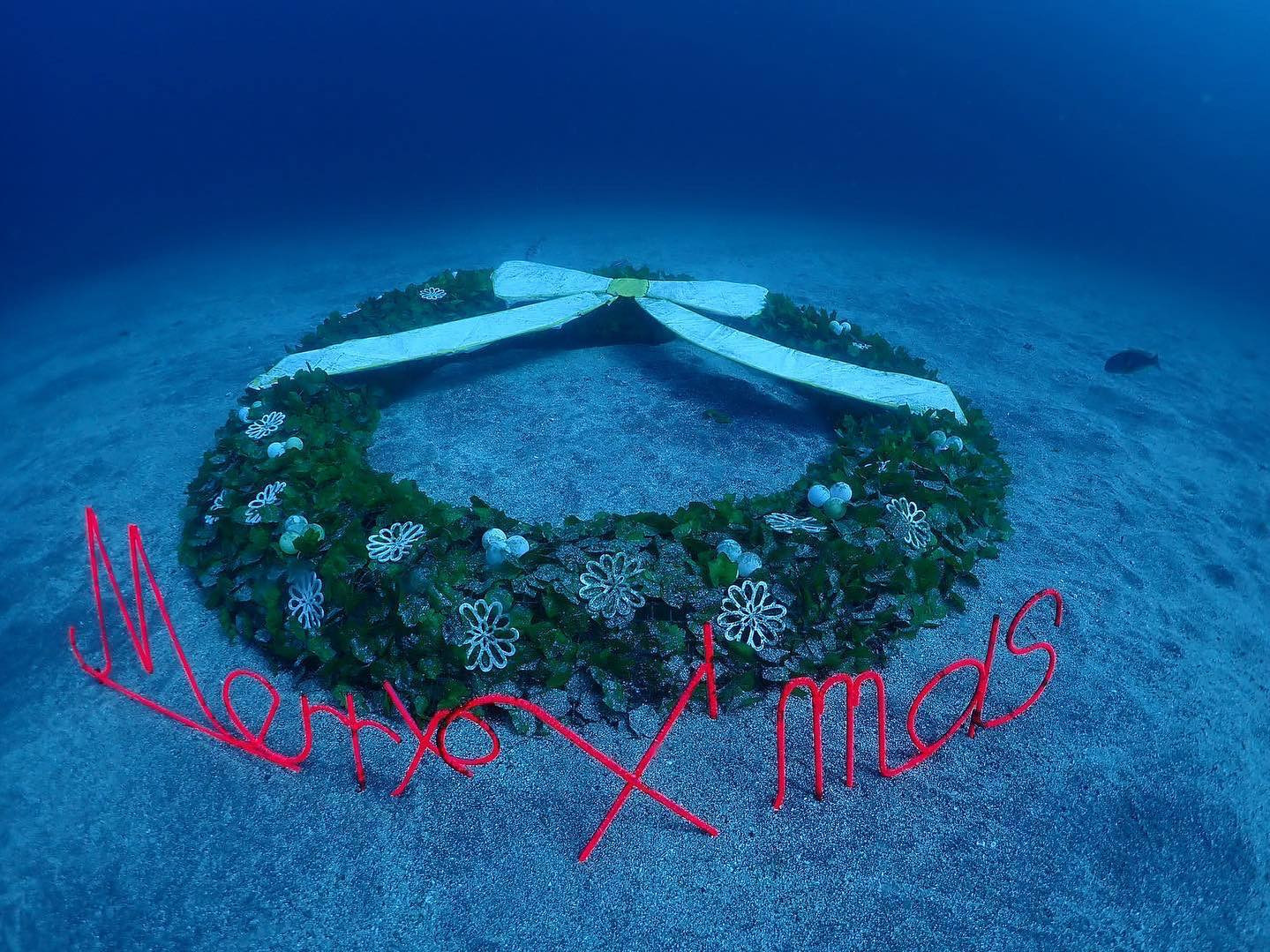 朝BlueもMerry Xmas🍾

イブになっちゃた（笑）

#Blue
#Bar
#kabukicho
#歌舞伎町
#shinjuku
#新宿
#旅行
#海
#Diving
#ダイビング
#UnderwaterPhot
#水中写真
#ライセンス取得
#夏
#ハッピー
#ファインダー越しの世界
#divermag
#iPhone
#GOPRO
#Canon
#Ricoh
#THETA
#OLYMPUS
#tough
#TG-6