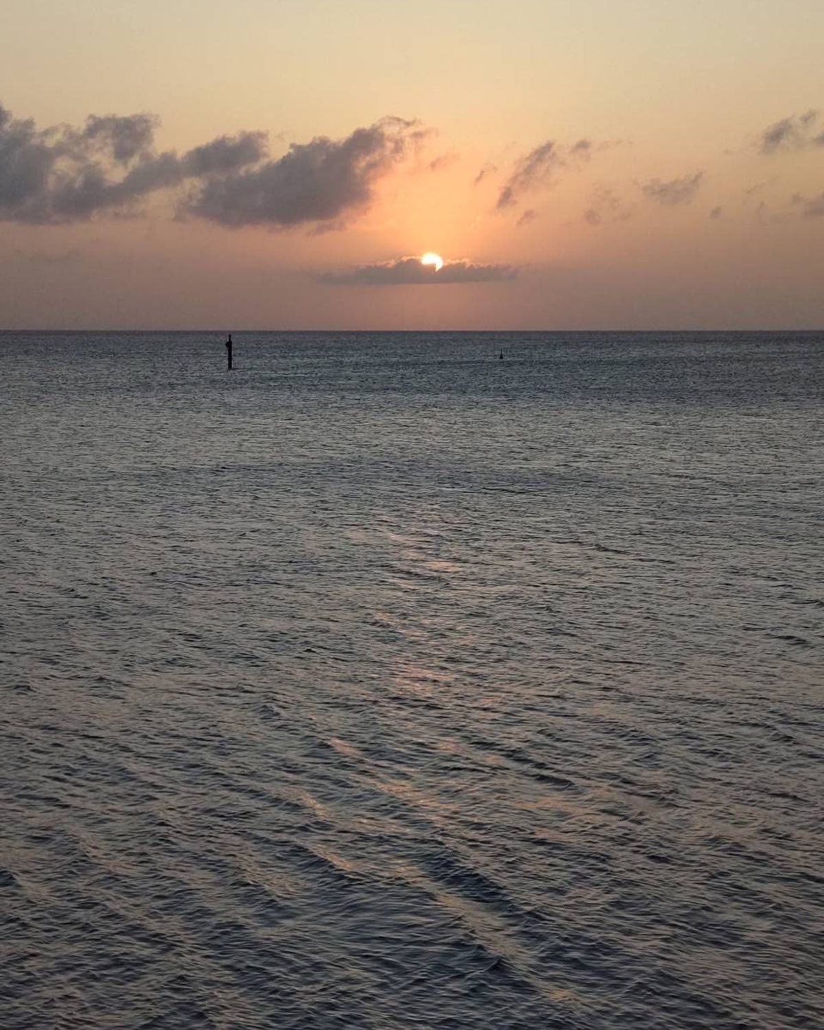 そういえば夕焼けはたまに撮るけど、日の出は撮った事が無いなぁ😅

初日の出が出る頃はだいたい店に居たり、飲んでるか、潰れて寝てるなぁ（笑）

中学生の時に増上寺の裏の丘から見たのが最後かも（笑）

#Blue
#Bar
#kabukicho
#歌舞伎町
#shinjuku
#新宿
#旅行
#海
#Diving
#ダイビング
#UnderwaterPhot
#水中写真
#ライセンス取得
#夏
#ハッピー
#ファインダー越しの世界
#divermag
#iPhone
#GOPRO
#Canon
#Ricoh
