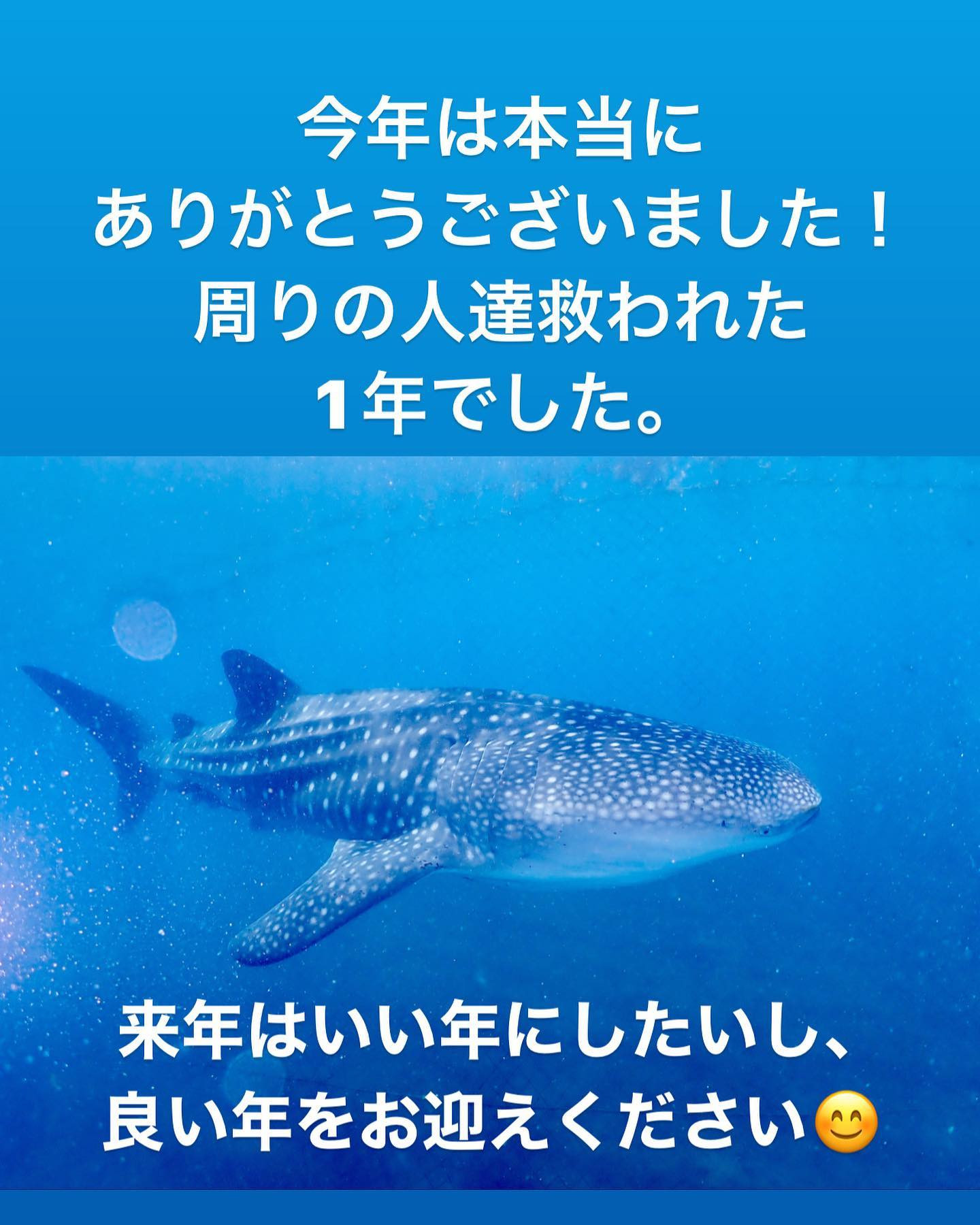 今年1年大変お世話になりました。

色々あった1年だったので、こんなに来年はいい年にしたいと思う年末は初めてです。

皆様にも来年がいい年になりますように👌

#Blue
#Bar
#kabukicho
#歌舞伎町
#shinjuku
#新宿
#旅行
#海
#Diving
#ダイビング
#UnderwaterPhot
#水中写真
#ライセンス取得
#夏
#ハッピー
#ファインダー越しの世界
#divermag
#iPhone
#GOPRO
#Canon
#Ricoh
#THETA
#OLYMPUS
#to