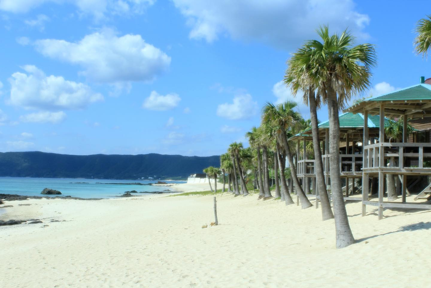 南国行きたいなぁー（笑）

寒いのは飽きたし😨

今年は年始のダイビングツアー無いし😂

水温低いのも寒いのも嫌い（笑）

#Blue
#Bar
#kabukicho
#歌舞伎町
#shinjuku
#新宿
#旅行
#海
#Diving
#ダイビング
#UnderwaterPhot
#水中写真
#ライセンス取得
#夏
#ハッピー
#ファインダー越しの世界
#divermag
#iPhone
#GOPRO
#Canon
#Ricoh
#THETA
#OLYMPUS
#tough
#TG-6