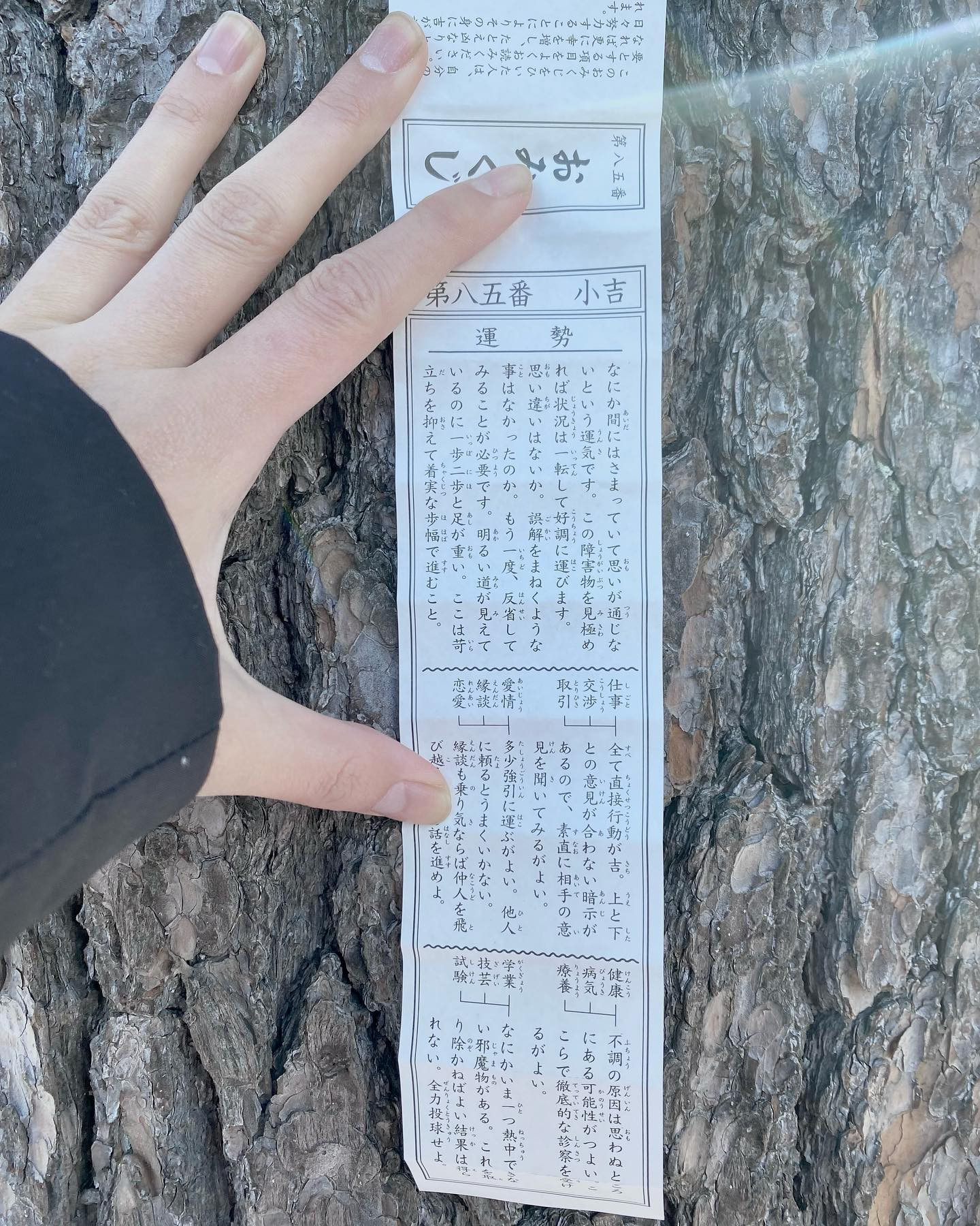 そういや、
 おみくじ小吉だった( ´･ω･`)

色々当たってて怖いww