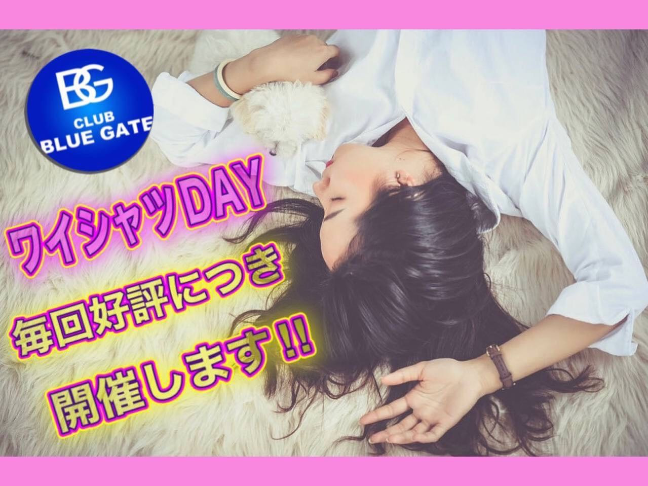 BLUEGATE ホットニュース 40826