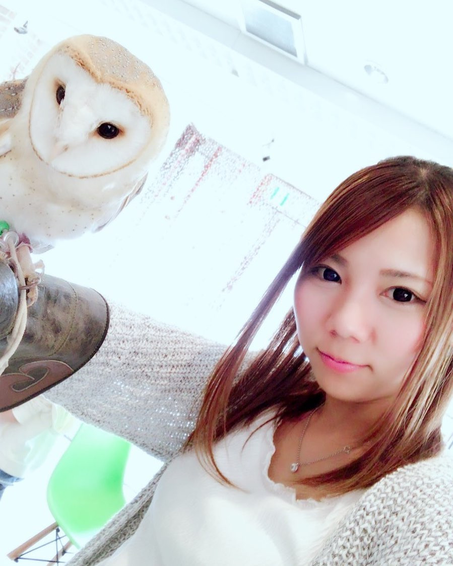 フクロウカフェ