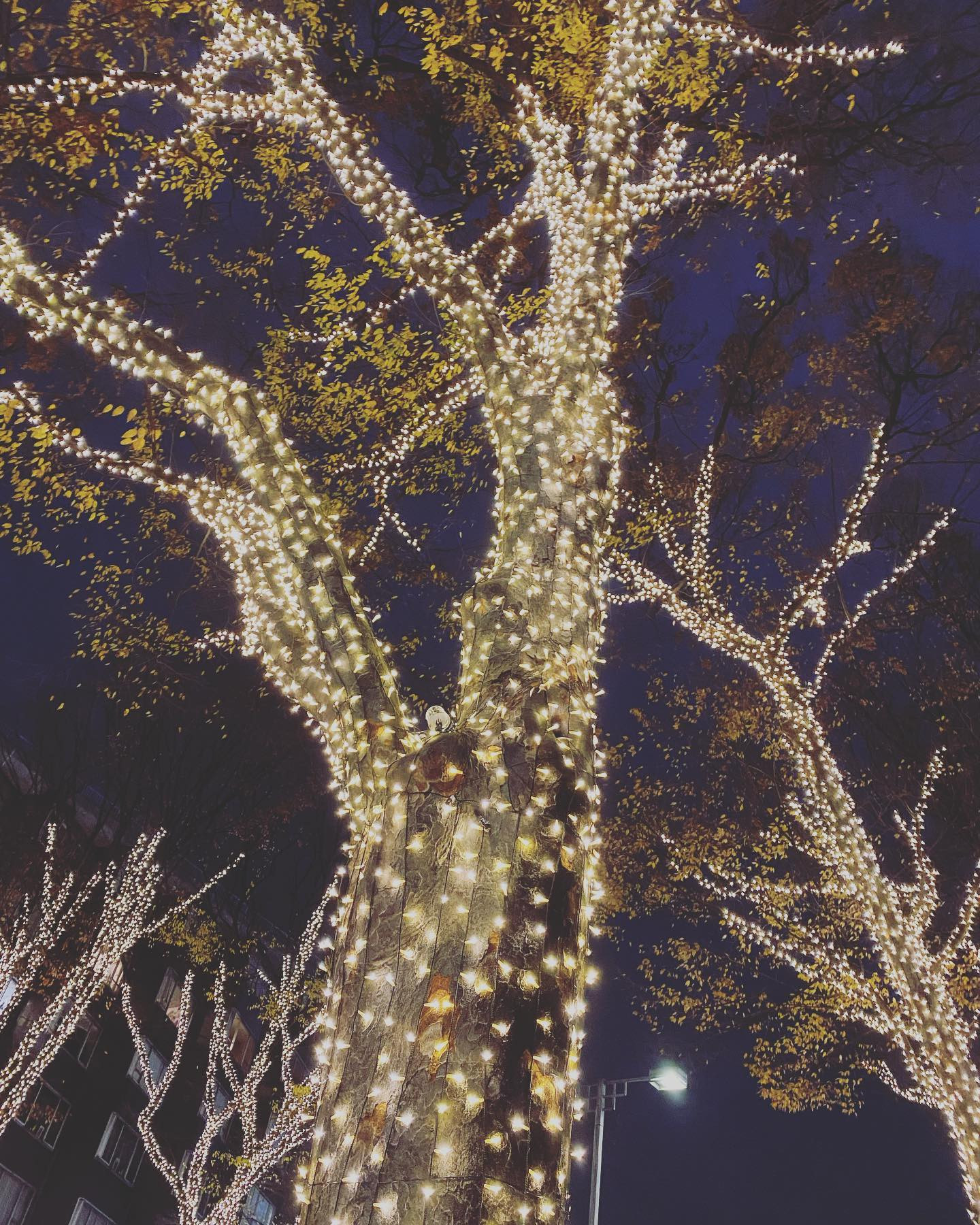 1番綺麗な私を/中島美嘉

春(桜色舞う頃)
↓
夏(プラネタリウム)
↓
秋(We don't talk together)

を見てきたみなさんわかると思いますが、そうゆうことです。

結末は予想通りでしたか？
それとも外れましたか？
ハッピーエンドでしたか？
バッドエンドでしたか？

どう捉えてもらっても構いません。
そのまま感じたものを思っていただきたいです。

この作品を通していろいろなことを勉強させてもらいました。

全部見ても見なくてもわかるようにしました。
見た人はより一層。

見ていただ