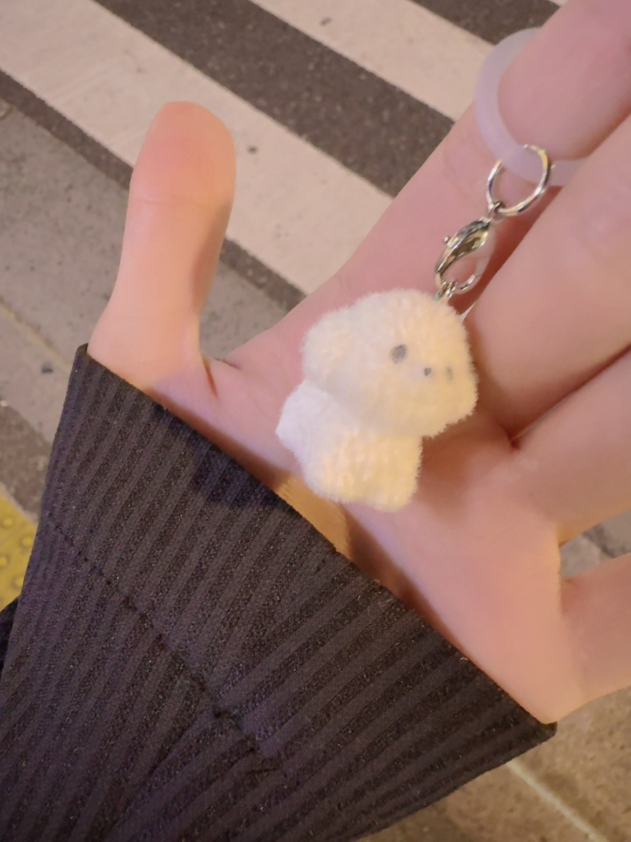 しおん