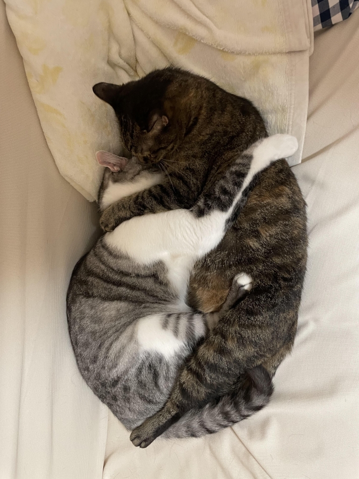 カラオケハイボールbar美人姉妹日記1552553