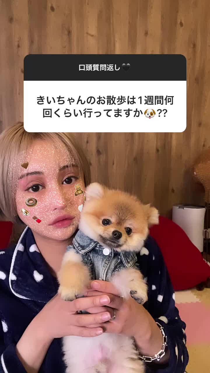 喋る犬🐕💕#インスタグラム#ストーリーズ#口頭質問返し#犬の気持ち#桜井野の花