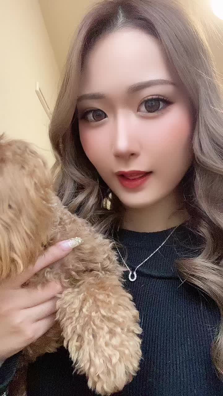 暴れん坊だ😅😅#ニンフメイク #fypシ #fyp #おすすめ #キャバクラ嬢 #キャバクラ #新潟 #トイプードル #犬のいる生活