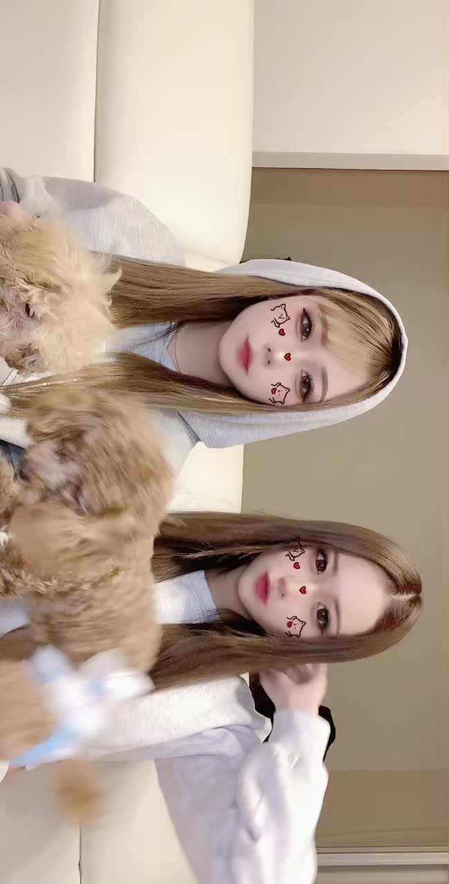 @あや どっちも自己主張強すぎて踊りが一切合ってないの笑うwwwwwwイッヌ達も自由です🐶︎💕#ハートでキッス #fypシ #fyp #おすすめ #キャバクラ嬢 #キャバクラ #新潟 #犬のいる生活 #トイプードル