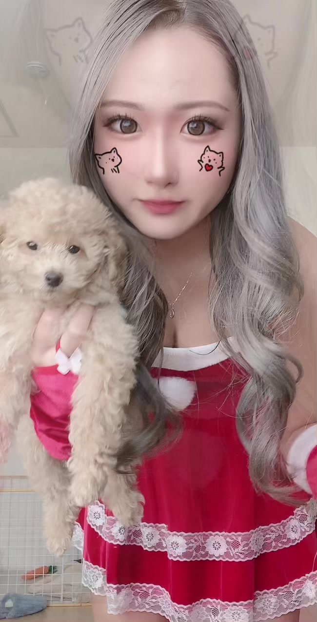 下書きにあったやつ😵😵😵#ハートでキッス #fyp #fypシ #おすすめ #キャバクラ嬢 #犬のいる生活