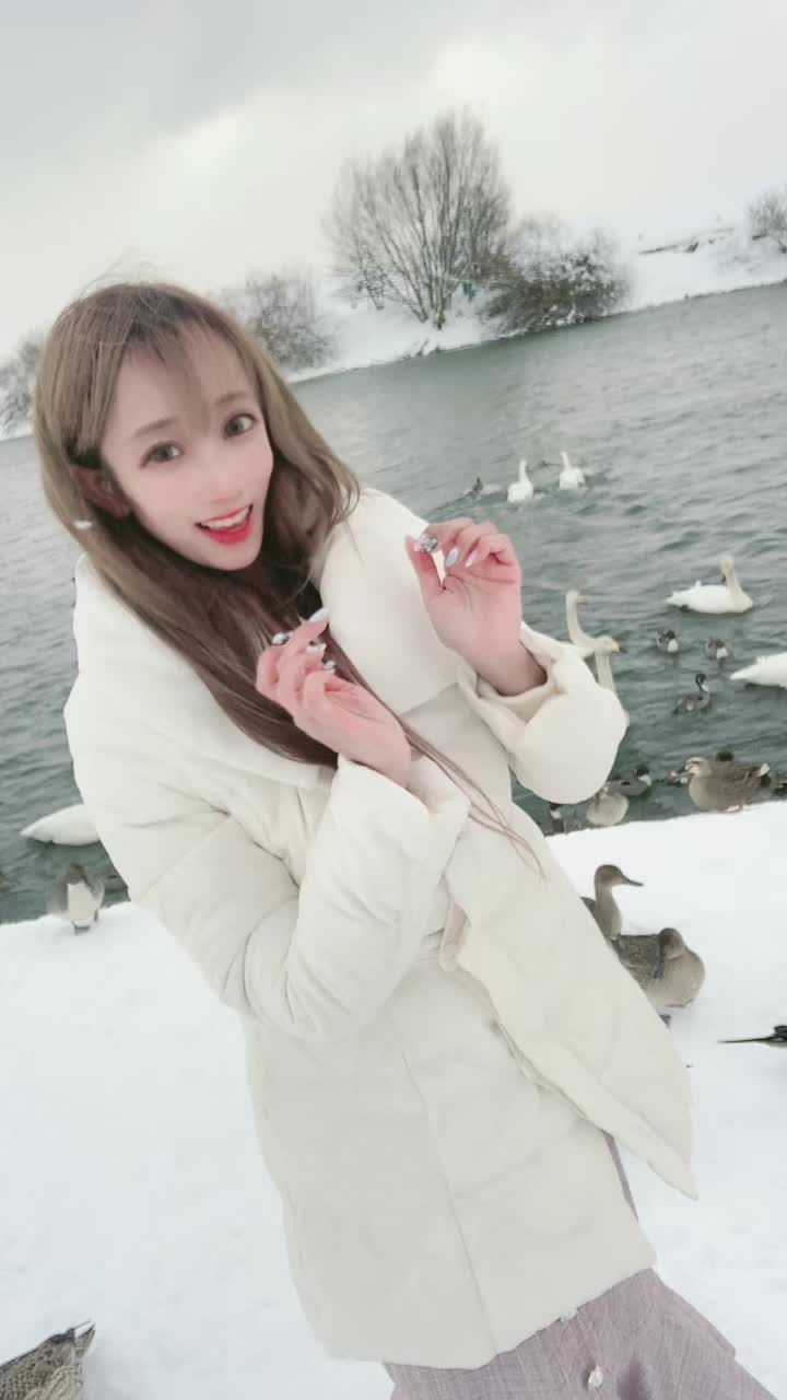 #可愛くてごめん #大寒波 #吹雪 最後吹き飛ばされかけた🦢笑