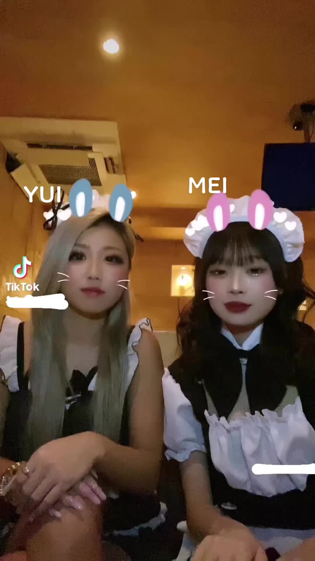 BLUEGATE ホットニュース 48614