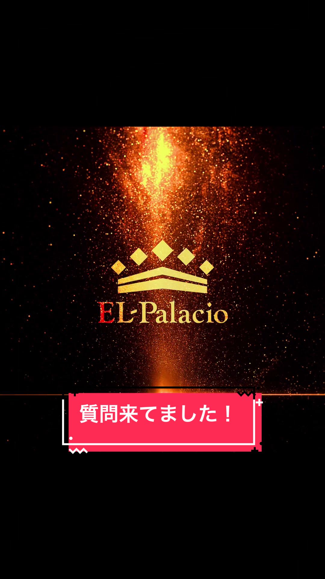 VANCOOL ホットニュース 49377