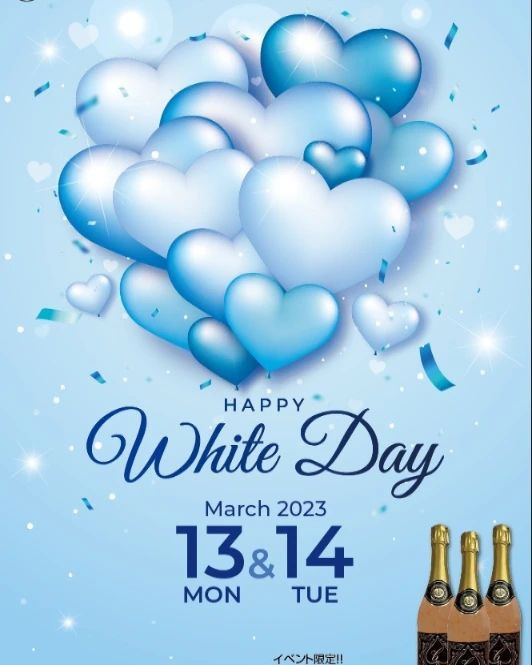 Plan b ホットニュース 49910