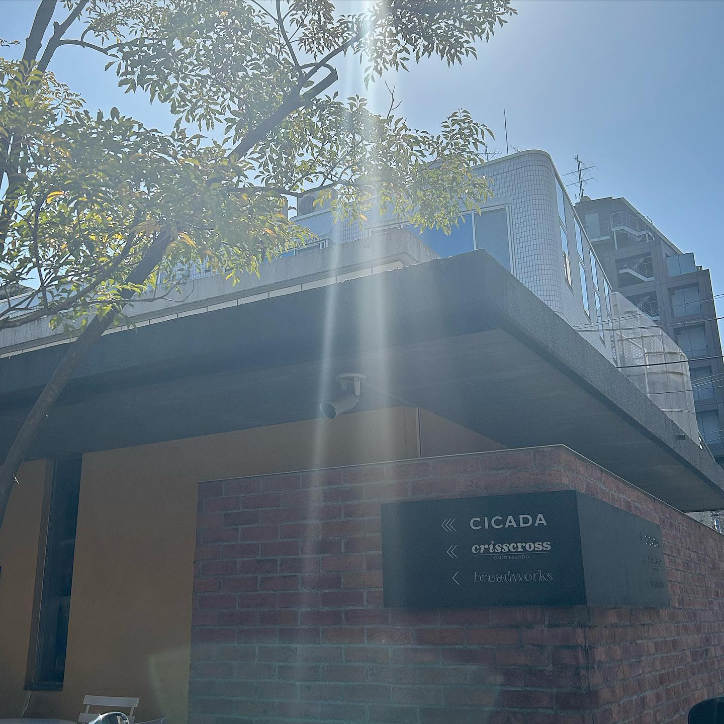 3年越しに🐻🤍