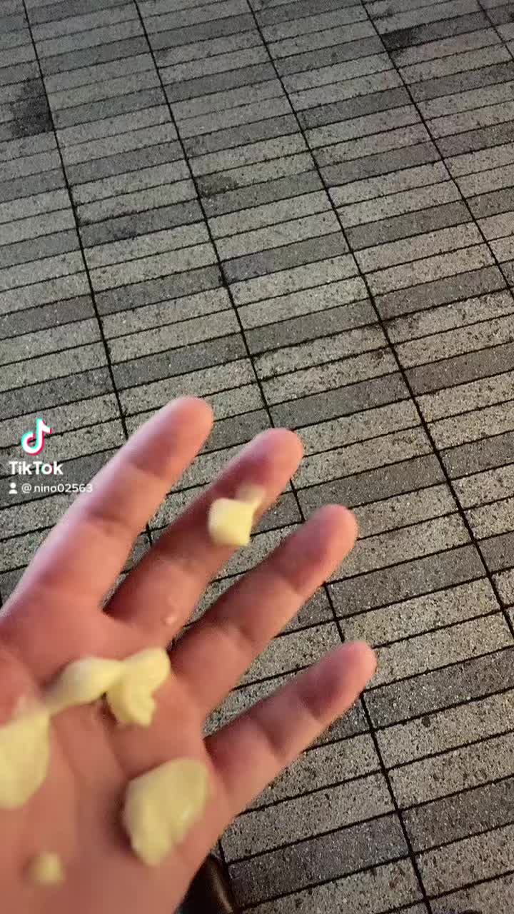 コスプレ Girls Bar nino ホットニュース 50174