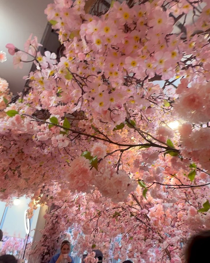 #sakura #桜 #桜スイーツ #haoutecouturecafe #オートクチュールカフェ @hautecouturecafe_official 
.
.
.
.
ただただひと足先に春を感じた🤤🌸🌸
かわいすぎて、店内のお花変わったらぜんぶコンプリートしたい🎀
.
.
.
.
メインは素敵なあの子へのサプライズだったので
つづく〜
.
.
.
.
#ショートウルフ 
#ショート女子 
#新宿キャバクラ 
#キャバクラ 
#アネラ 
#グラビア 
#gravure 
#日本的 
#性感 
#浴衣 
