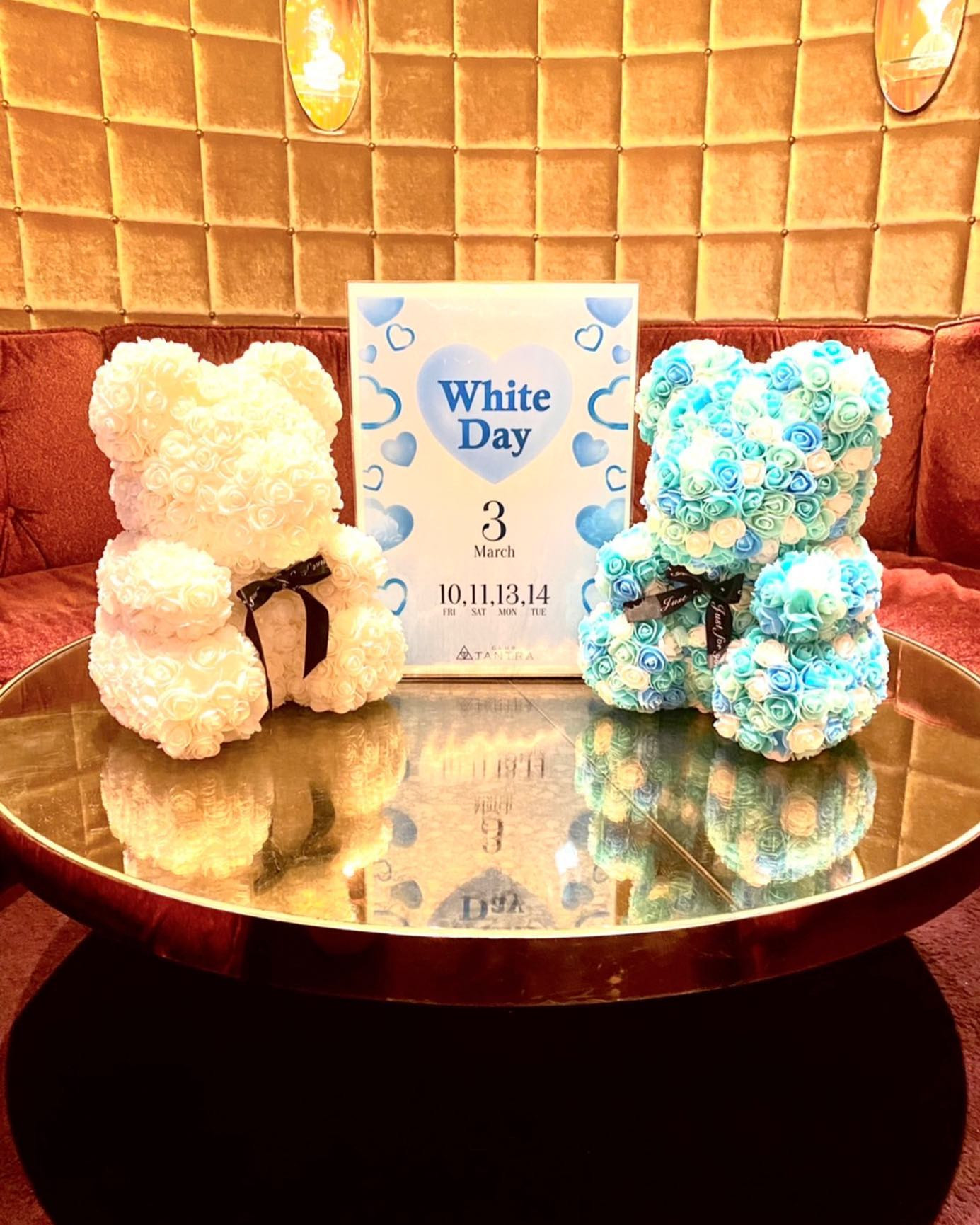 本日もホワイトデーイベント開催しています❗️

ご指名でご来店頂いたお客様にはホワイトシチューのサービスとホワイトデーチケットのご利用可能になります！

本日もご来店お待ちしております！