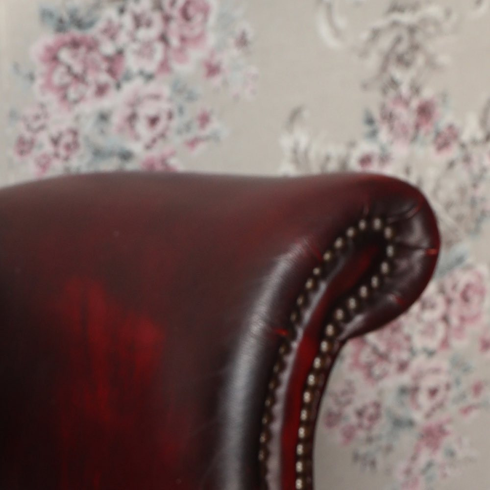 CUTE ホットニュース 51341