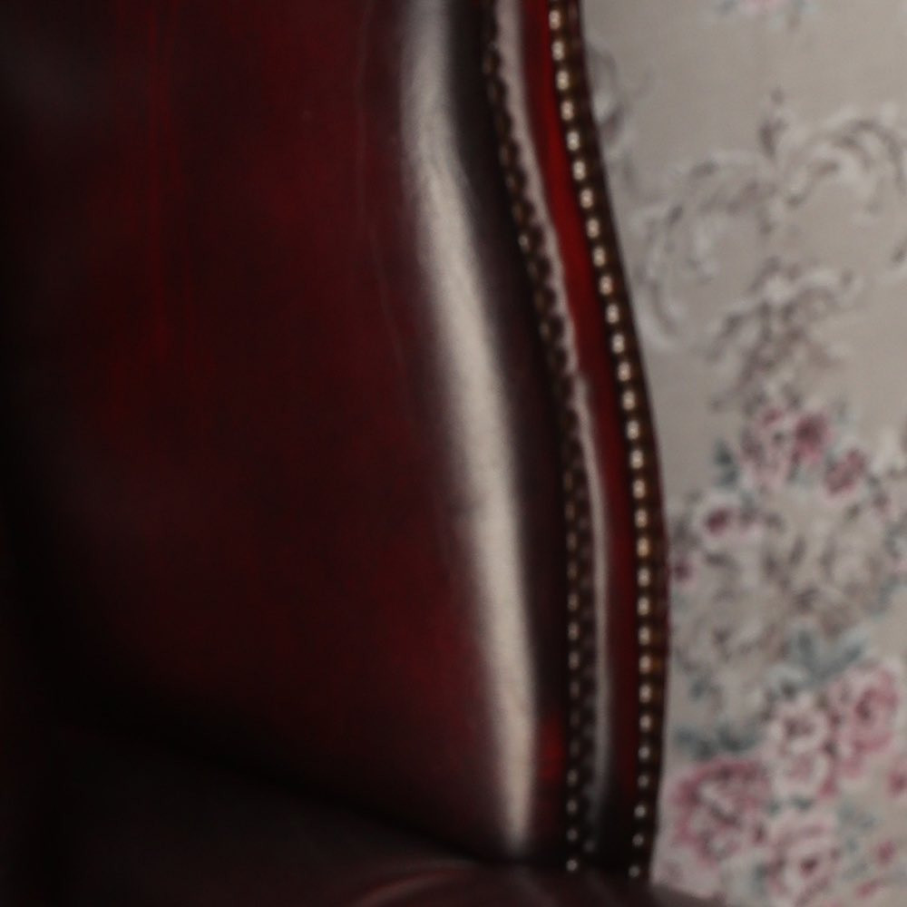 CUTE ホットニュース 51344