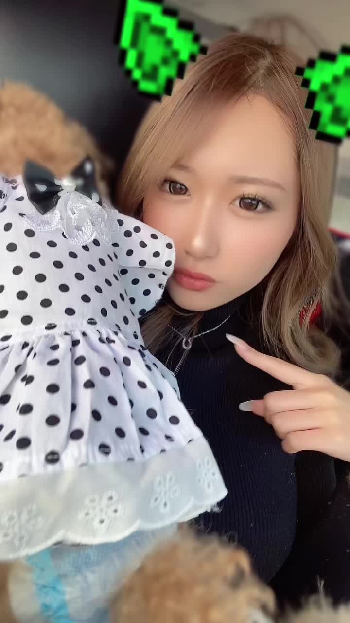 新潟20℃最高〜☀️☀️#fypシ #fyp #おすすめ #キャバクラ嬢 #キャバクラ #新潟 #トイプードル