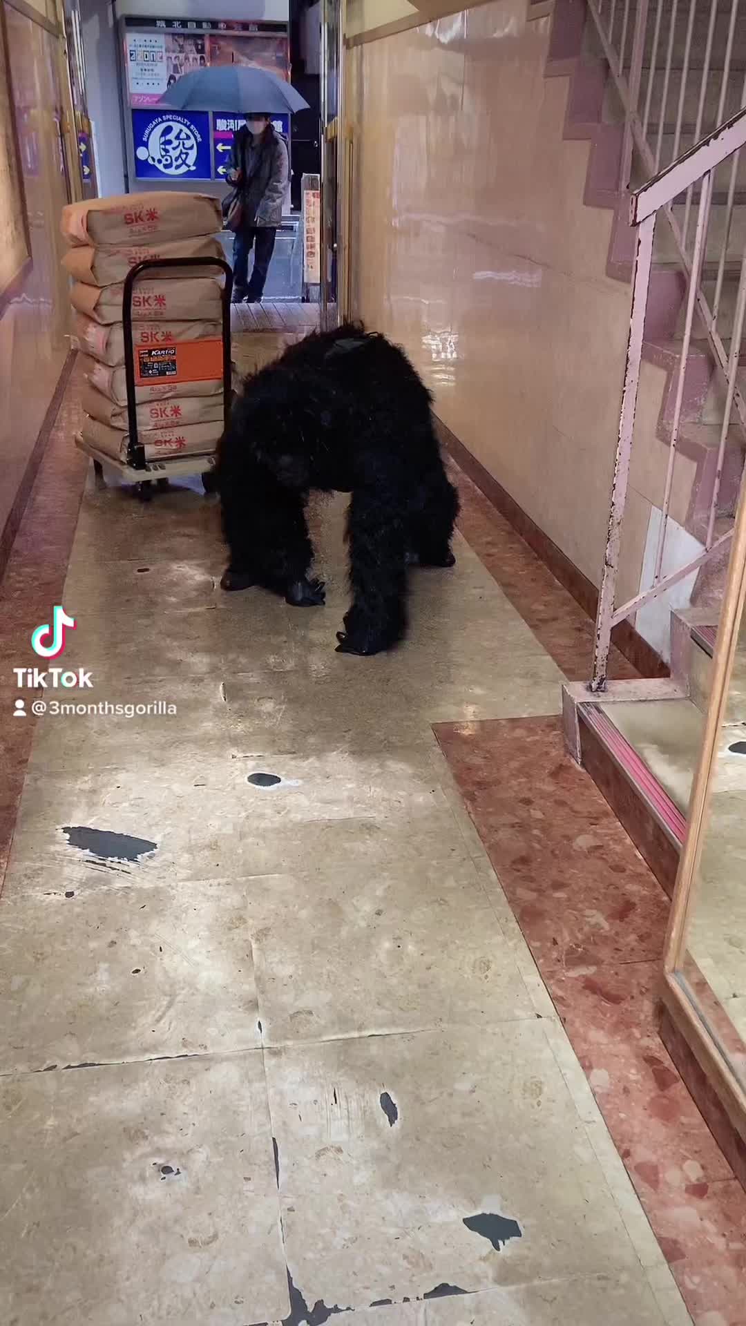 コスプレ Girls Bar nino ホットニュース 51546