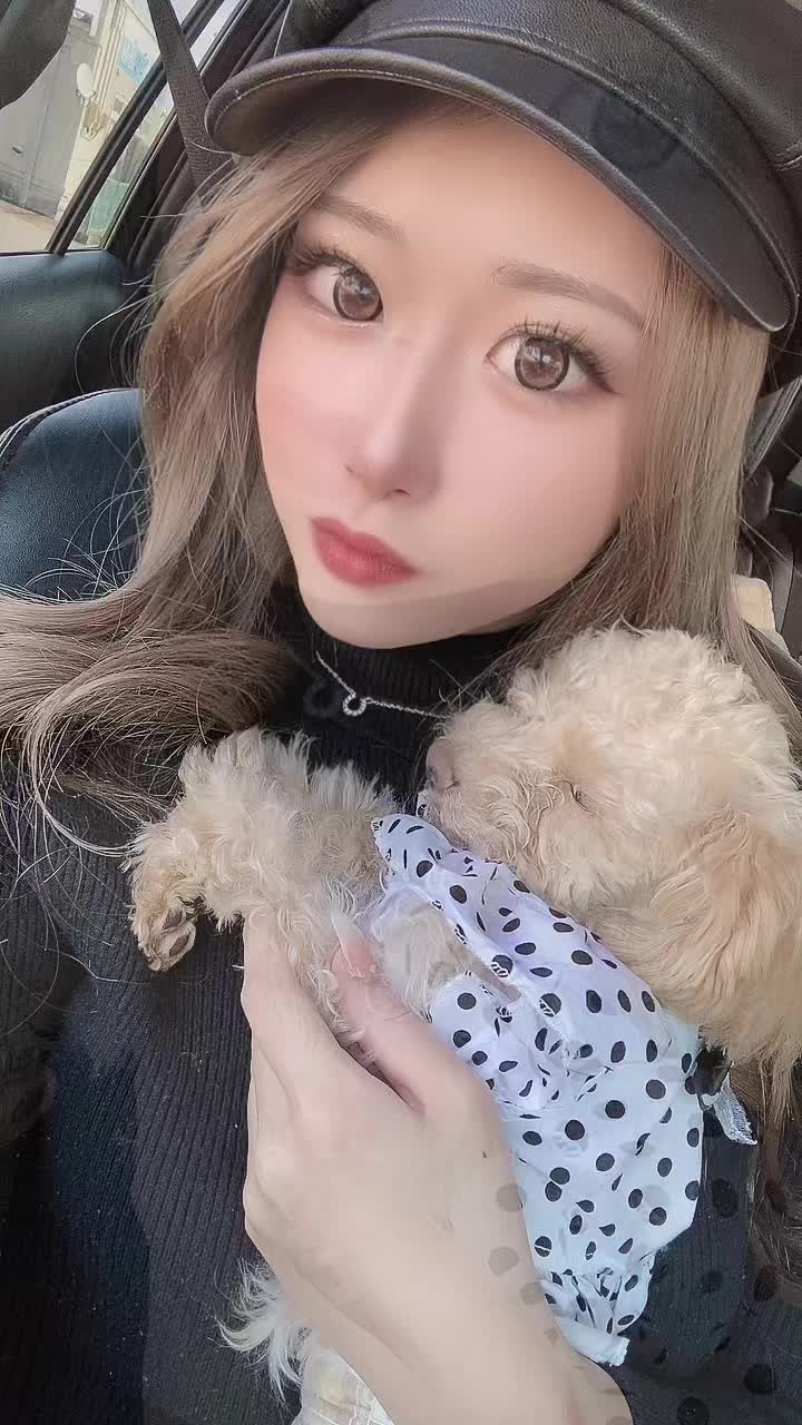 ハラスメント？ヌード？でライブバンされてました😮‍💨厳しい😭💦今日から出来るよやったァむぎしゃんもコラボしたよ可愛い♥️"(∩>ω<∩)"#ニンフメイク #fypシ #fyp #おすすめ #キャバクラ嬢 #キャバクラ #新潟 #トイプードル #トイプードル #犬のいる生活 #