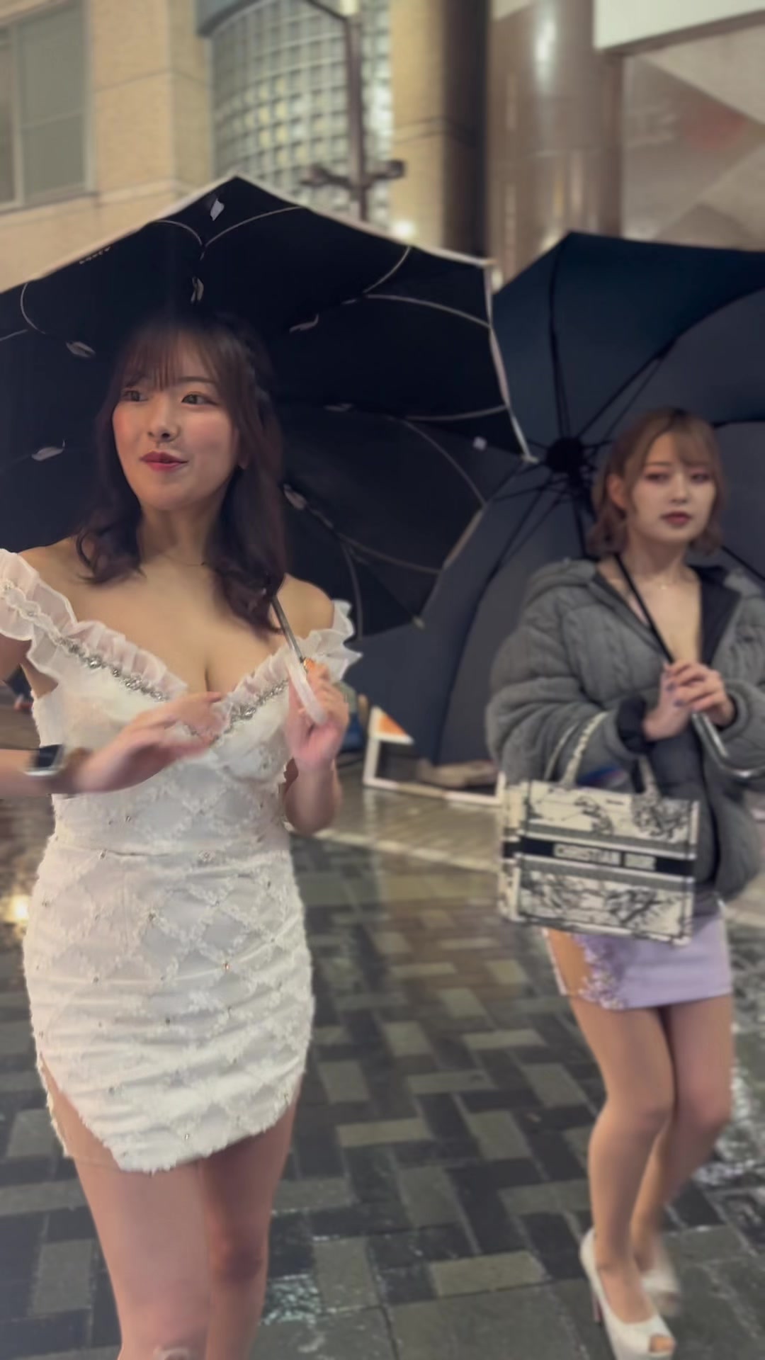 TARO ホットニュース 52396