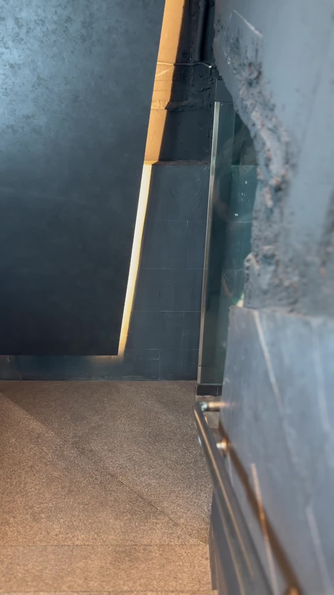 TARO ホットニュース 52635