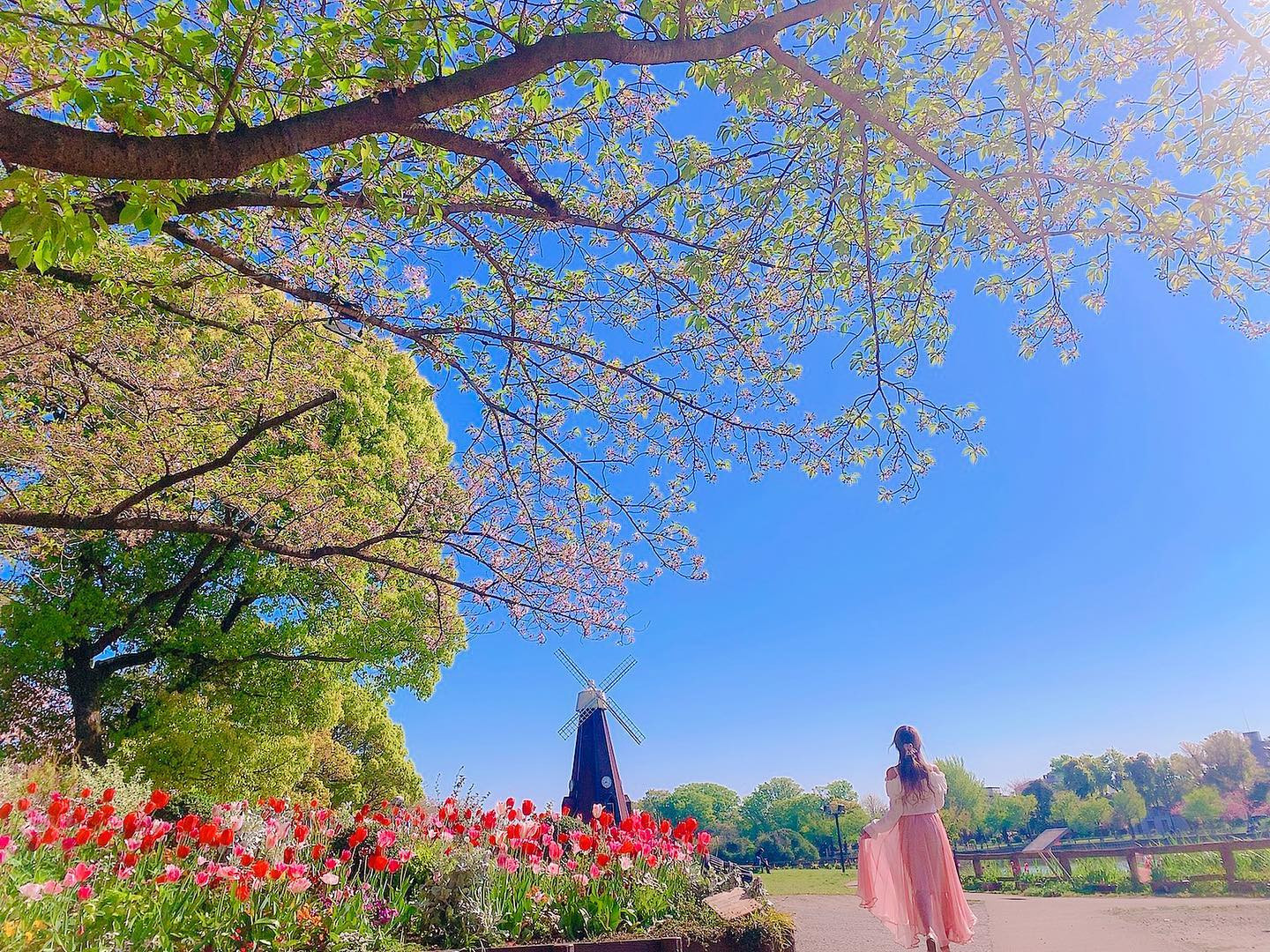 Good morning...♪*ﾟ

朝7時の浮間公園❁⃘*.ﾟ
春の朝のお散歩🌸

#東京都公園協会フォトコン2023春 #浮間公園 #北区 #tokyoparks #風景写真 #桜スポット #東京観光 #東京散歩 #お花見 #お花見コーデ #北区グルメ #ポートレートモデル #花見スポット #花見 #桜祭り #日本の風景 #公園 #公園巡り #公園コーデ #風景写真を撮るのが好きな人と繋がりたい #オランダ #春服コーデ #チューリップ畑 #チューリップ #cherryblossom #churip