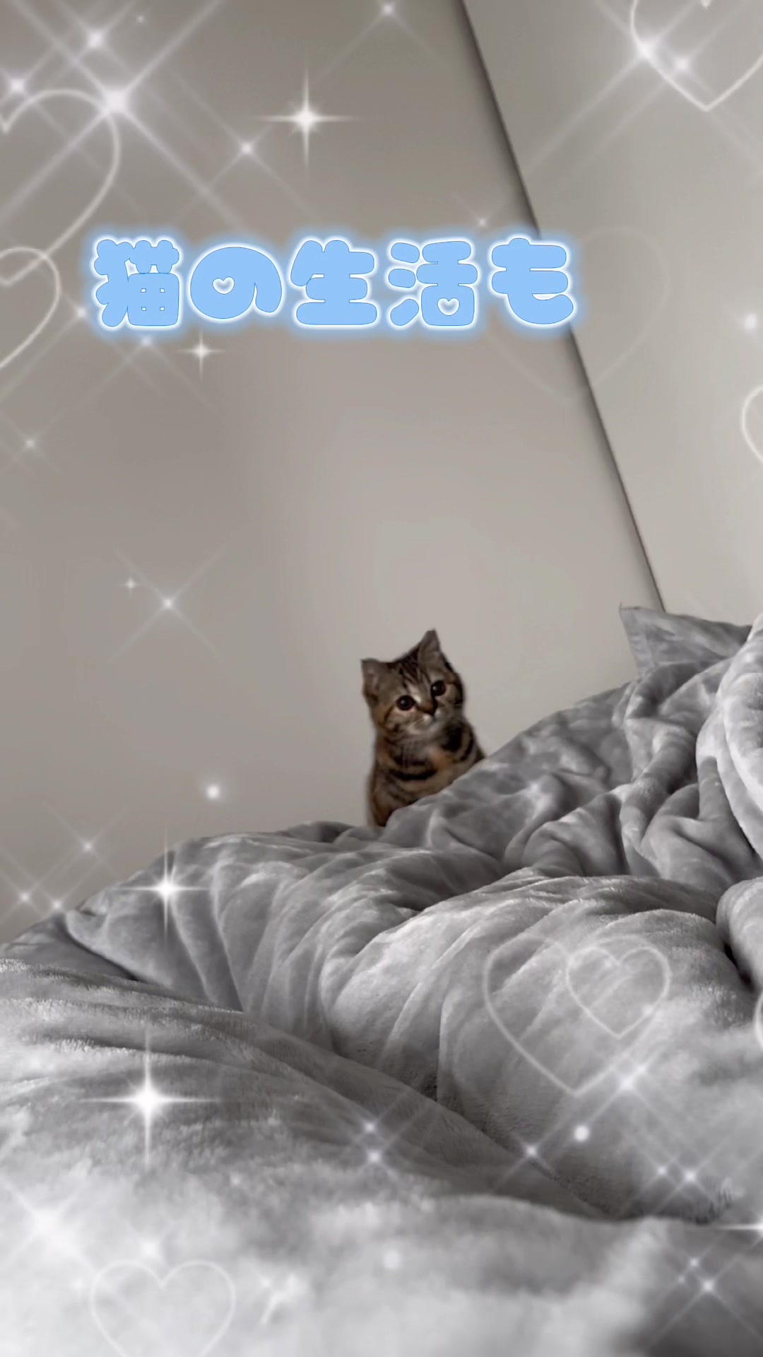 あるこほりっく日記878957