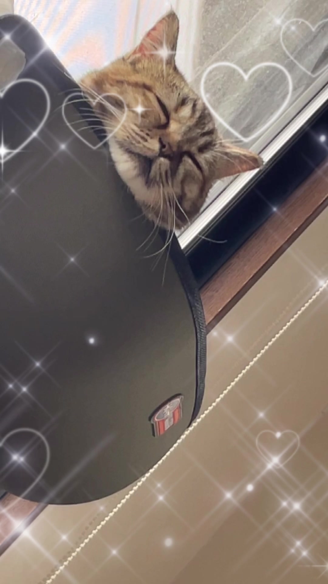 あるこほりっく日記885361