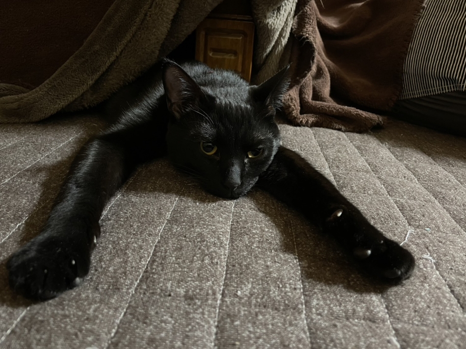 熟女キャバクラ Lips日記1625170